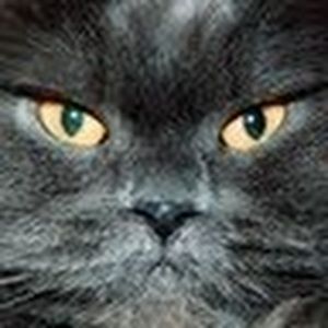 Meet your Posher, Carolyn